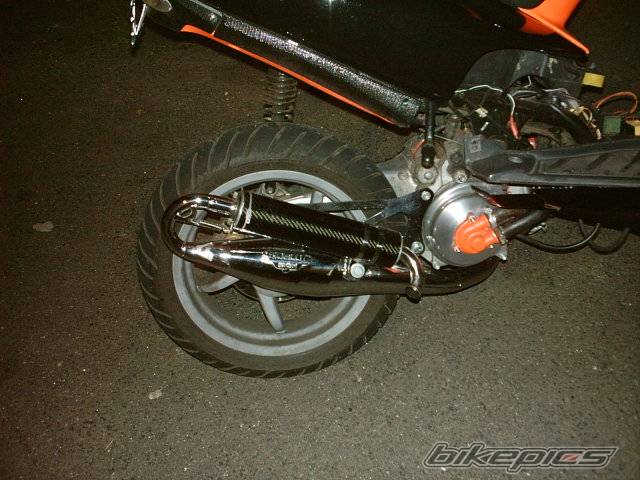 Photo 274551
