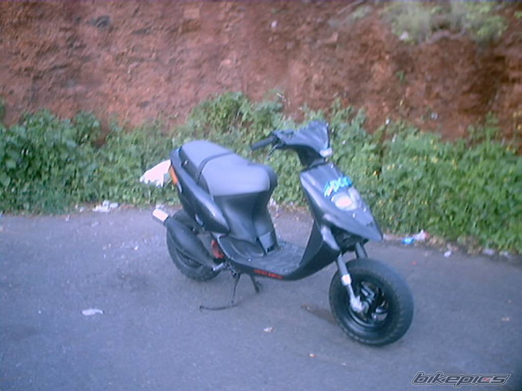 Photo 274558
