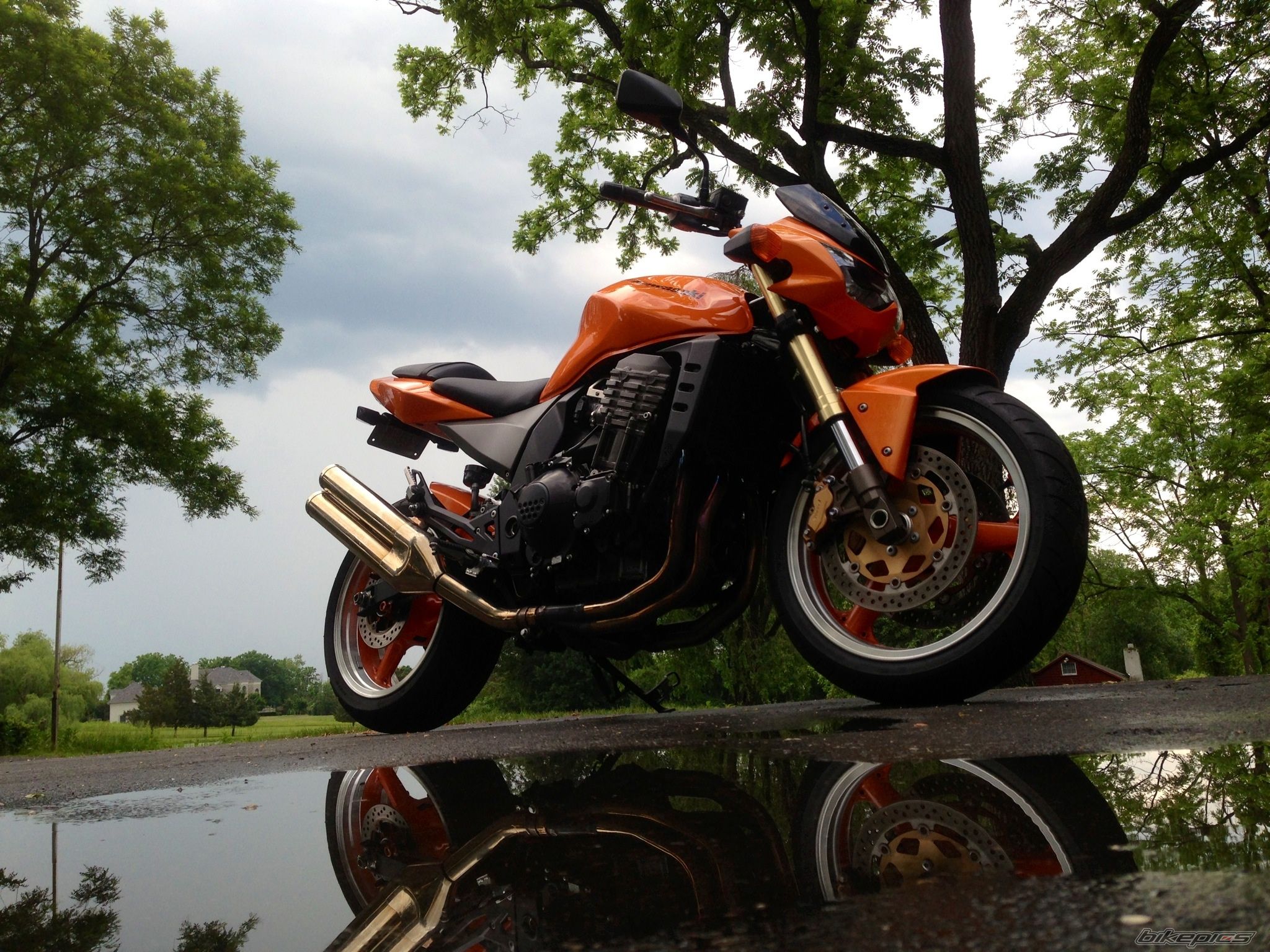 Photo 2745581