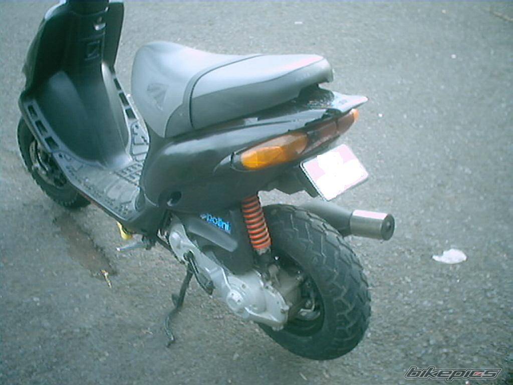 Photo 274559