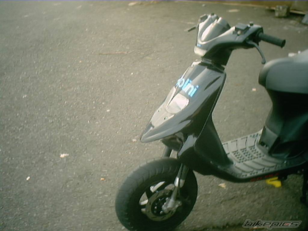 Photo 274561