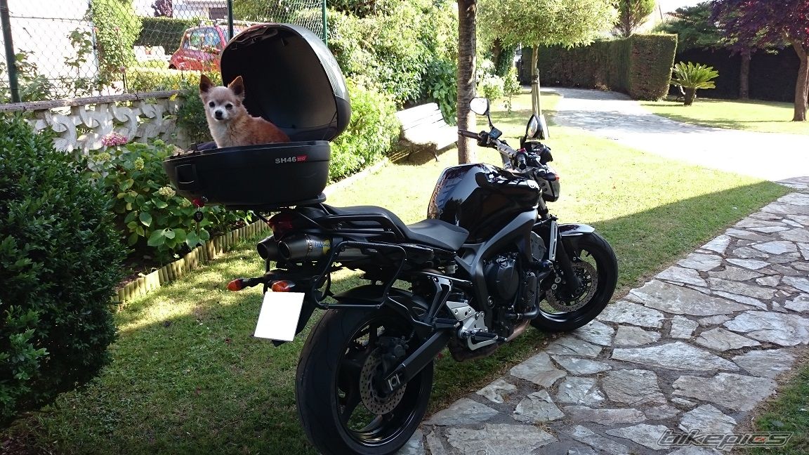Photo 2745721