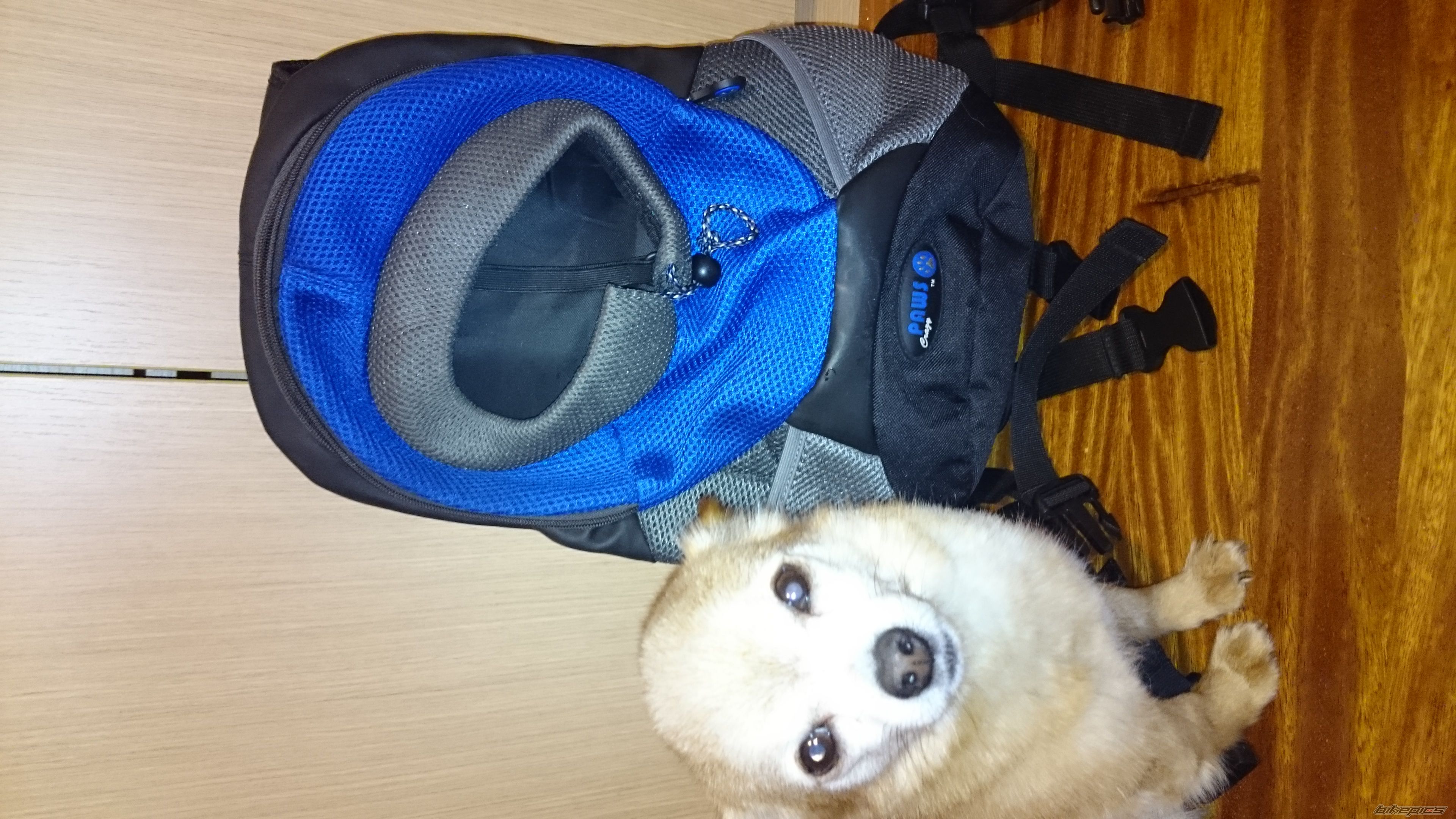 Photo 2745965