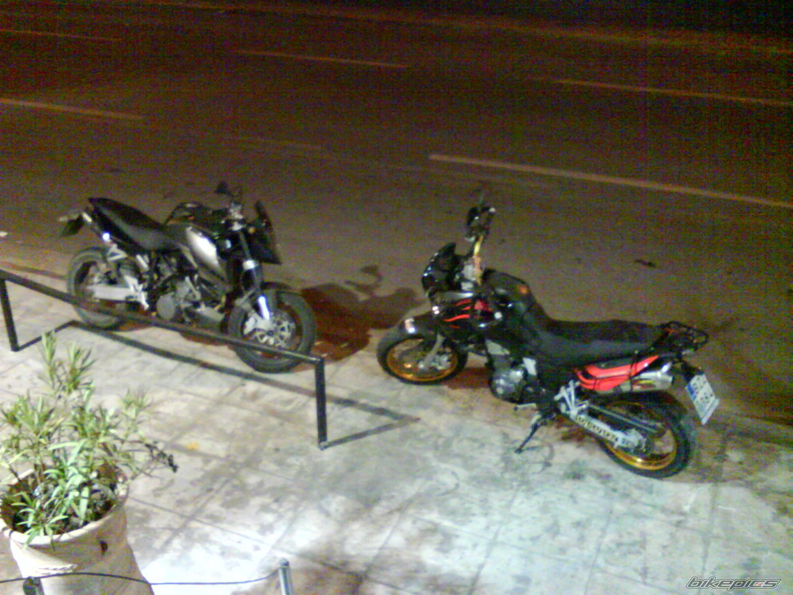 Photo 2746020