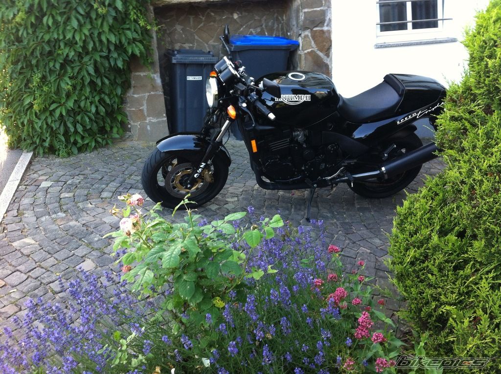 Photo 2746128