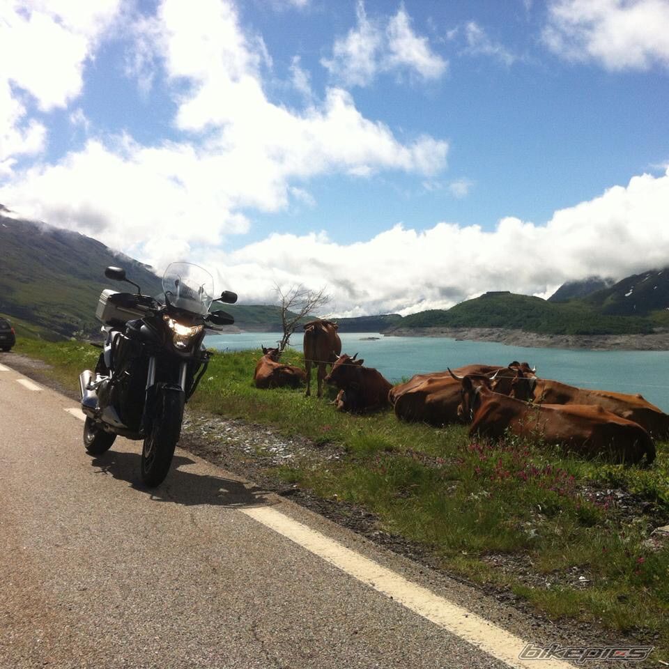 Photo 2746170