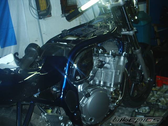 Photo 274649