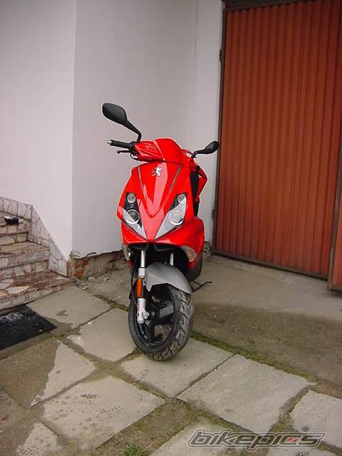 Photo 274657