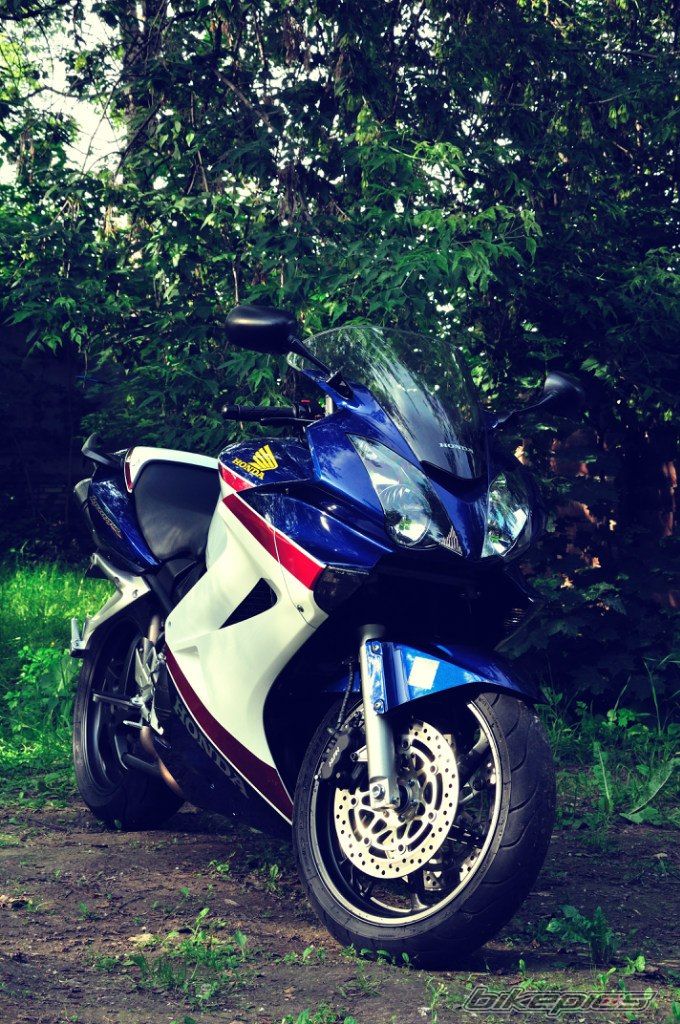 Photo 2746597