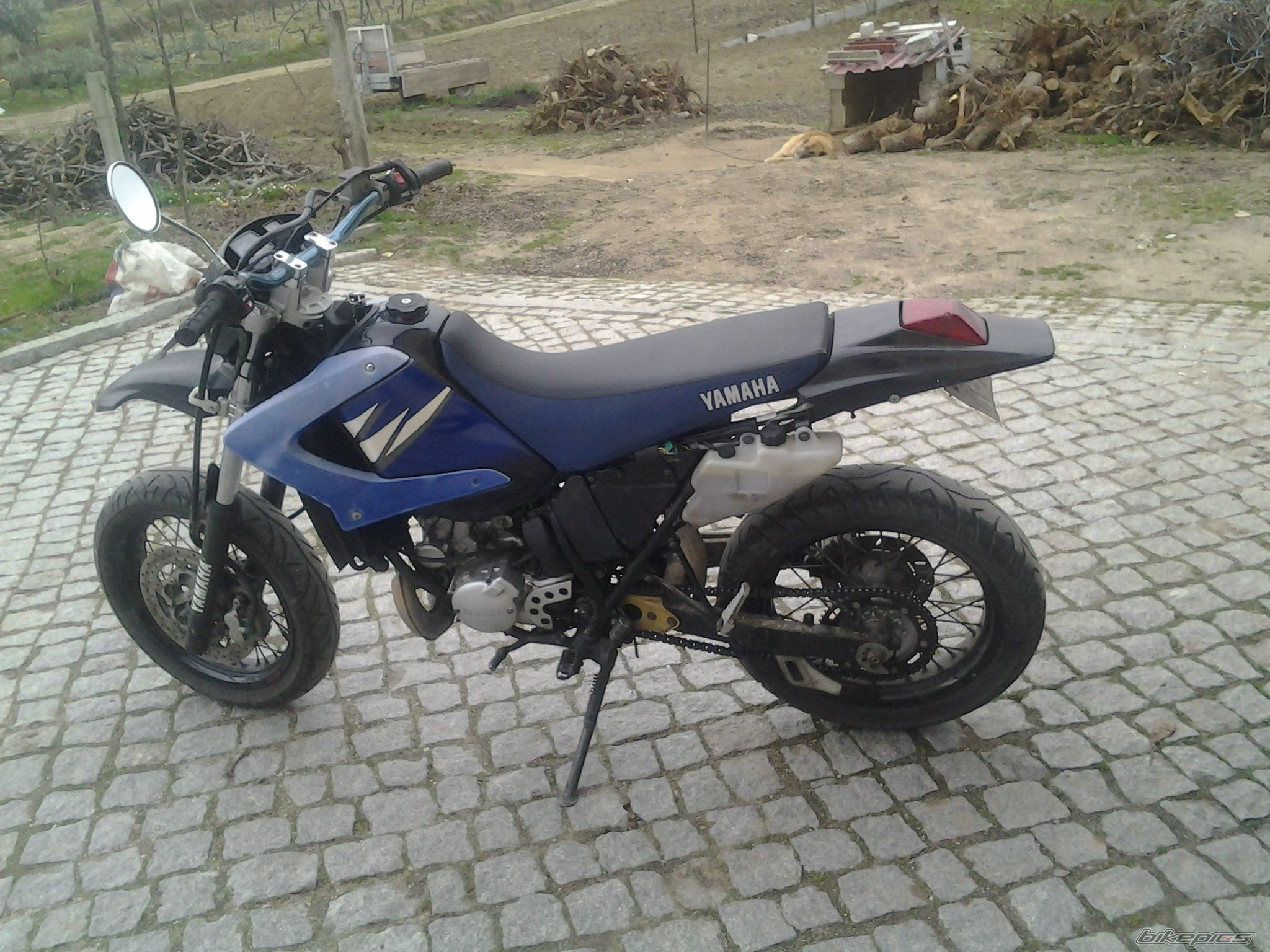 Photo 2746612