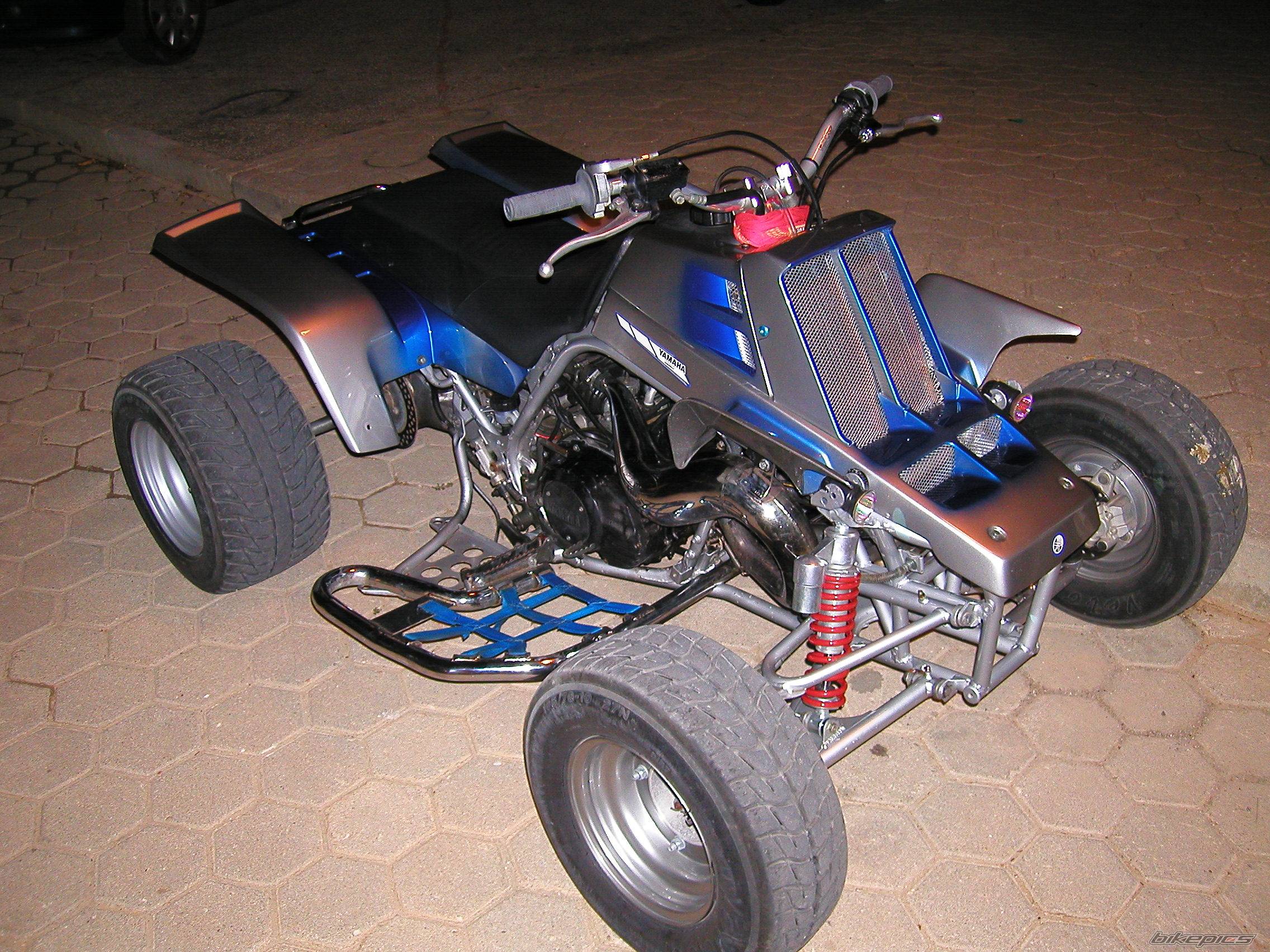 Photo 274684