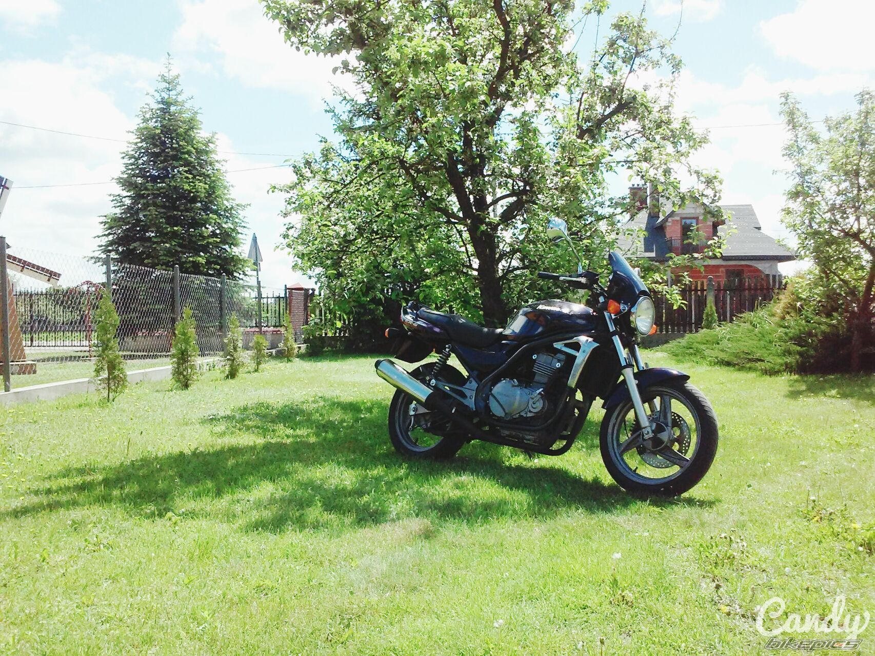 Photo 2746846