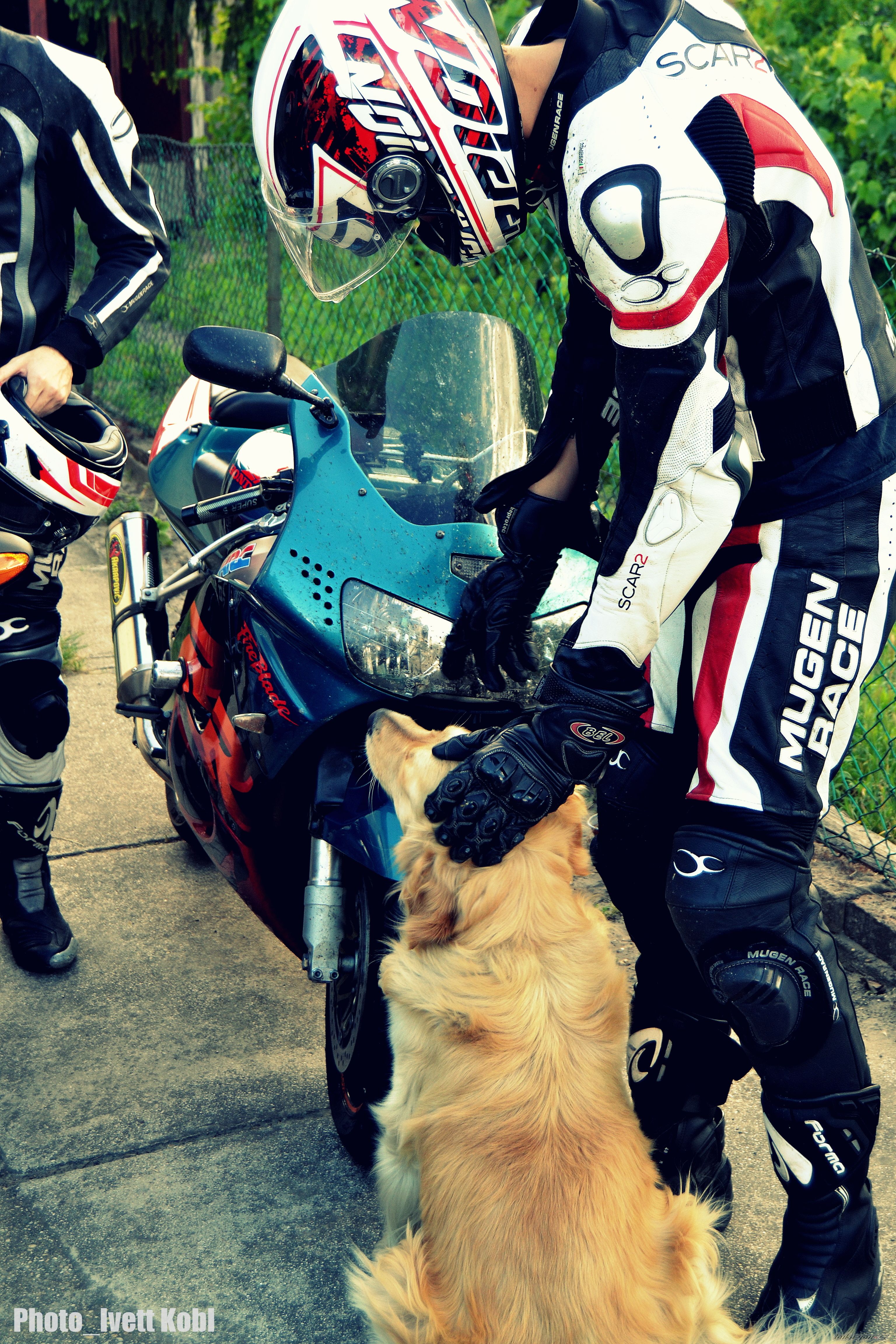 Photo 2746871
