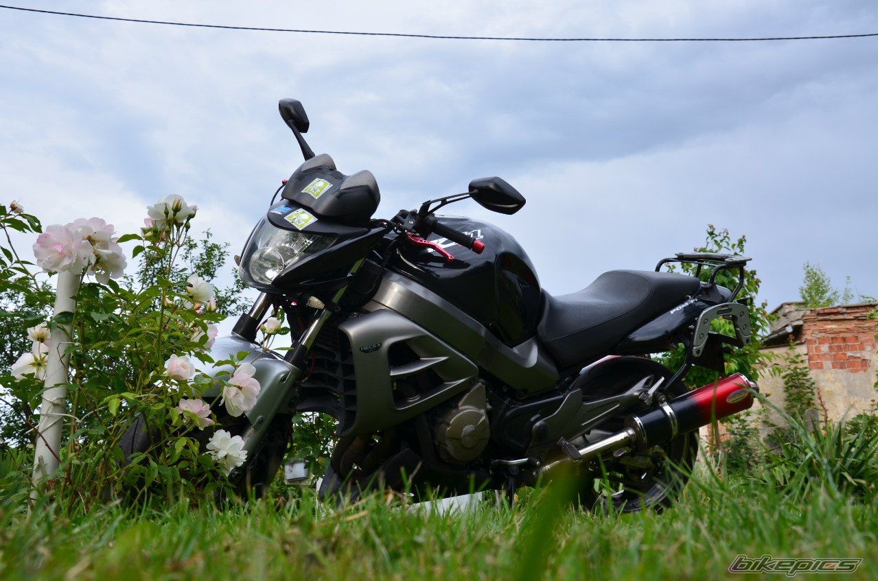 Photo 2747097