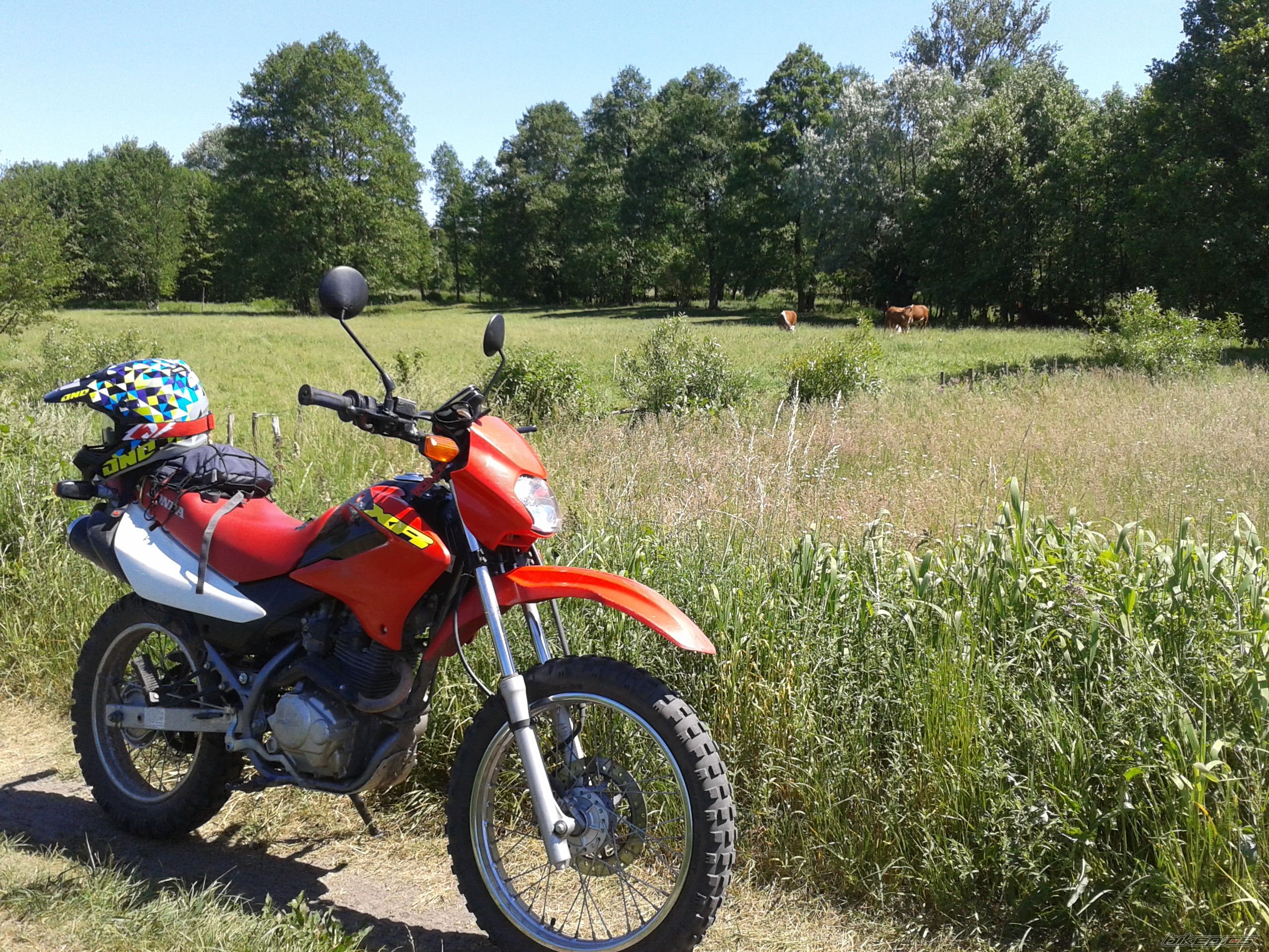 Bike Photo 2747116