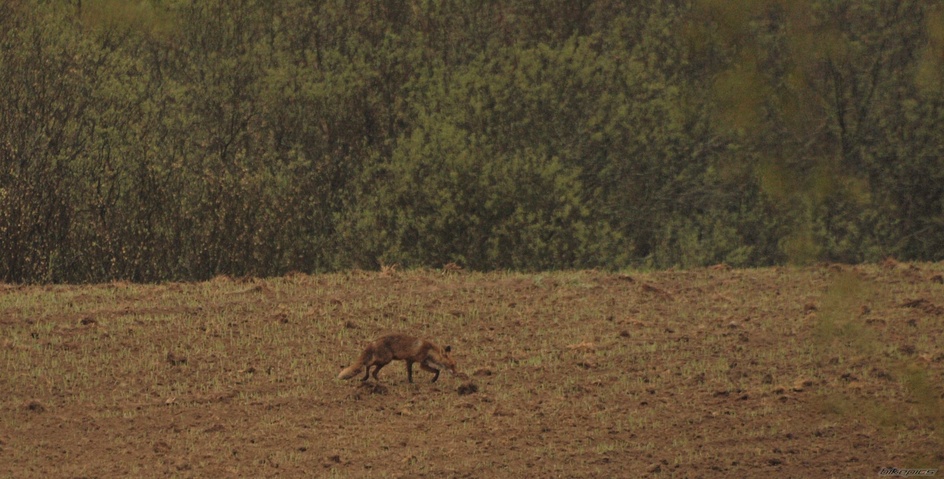 Photo 2747132