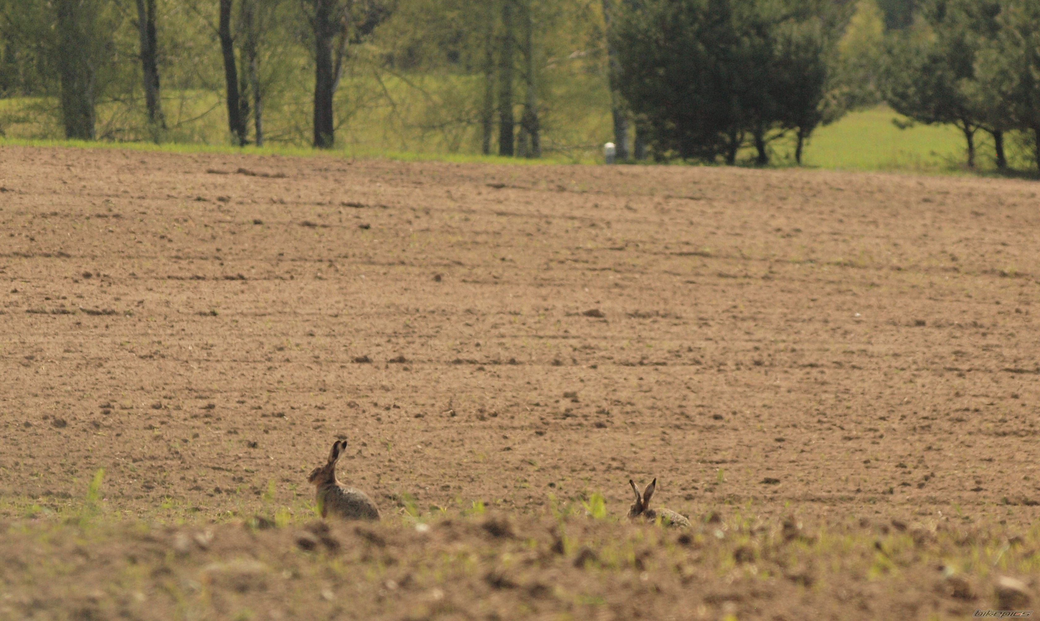 Photo 2747133