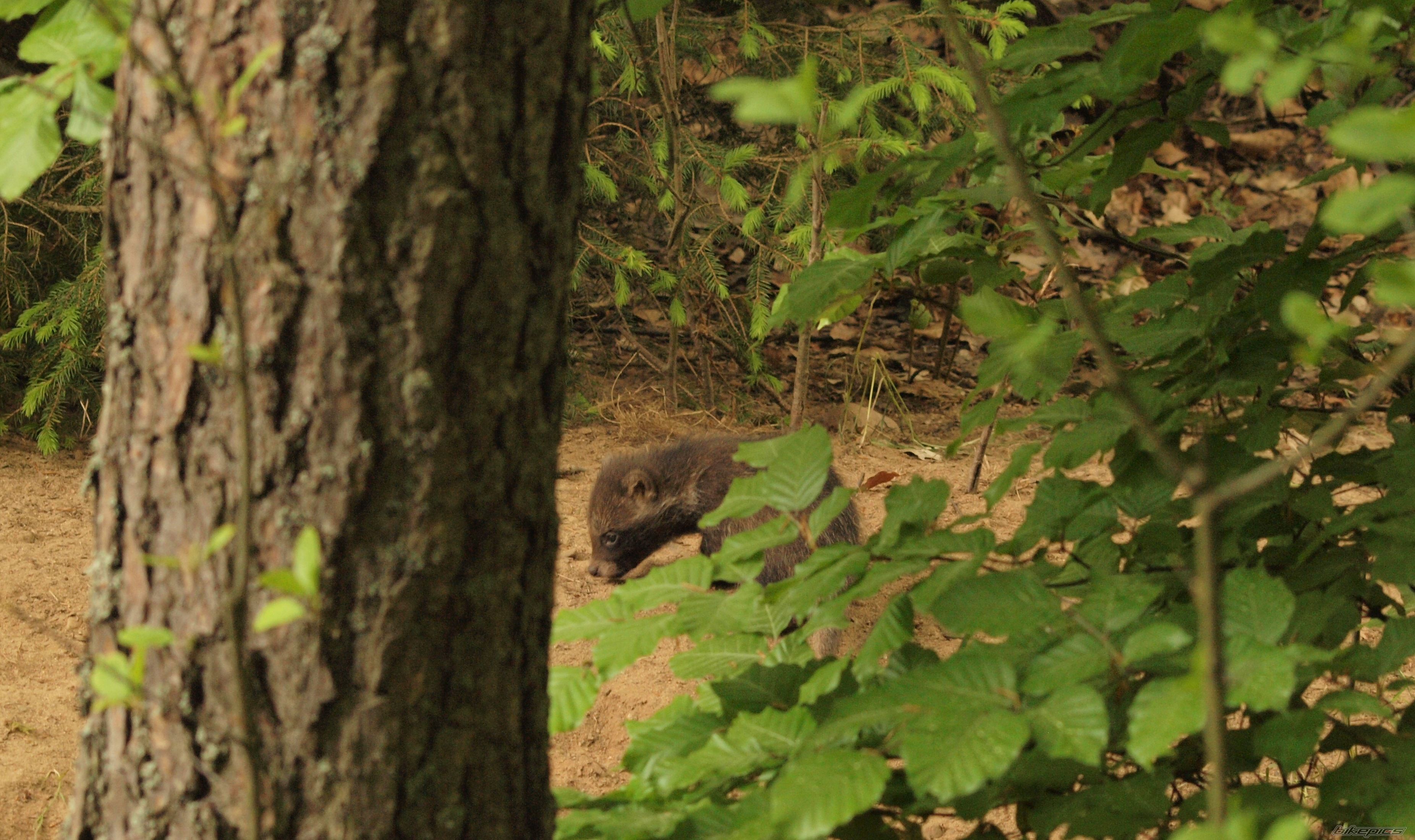 Photo 2747134