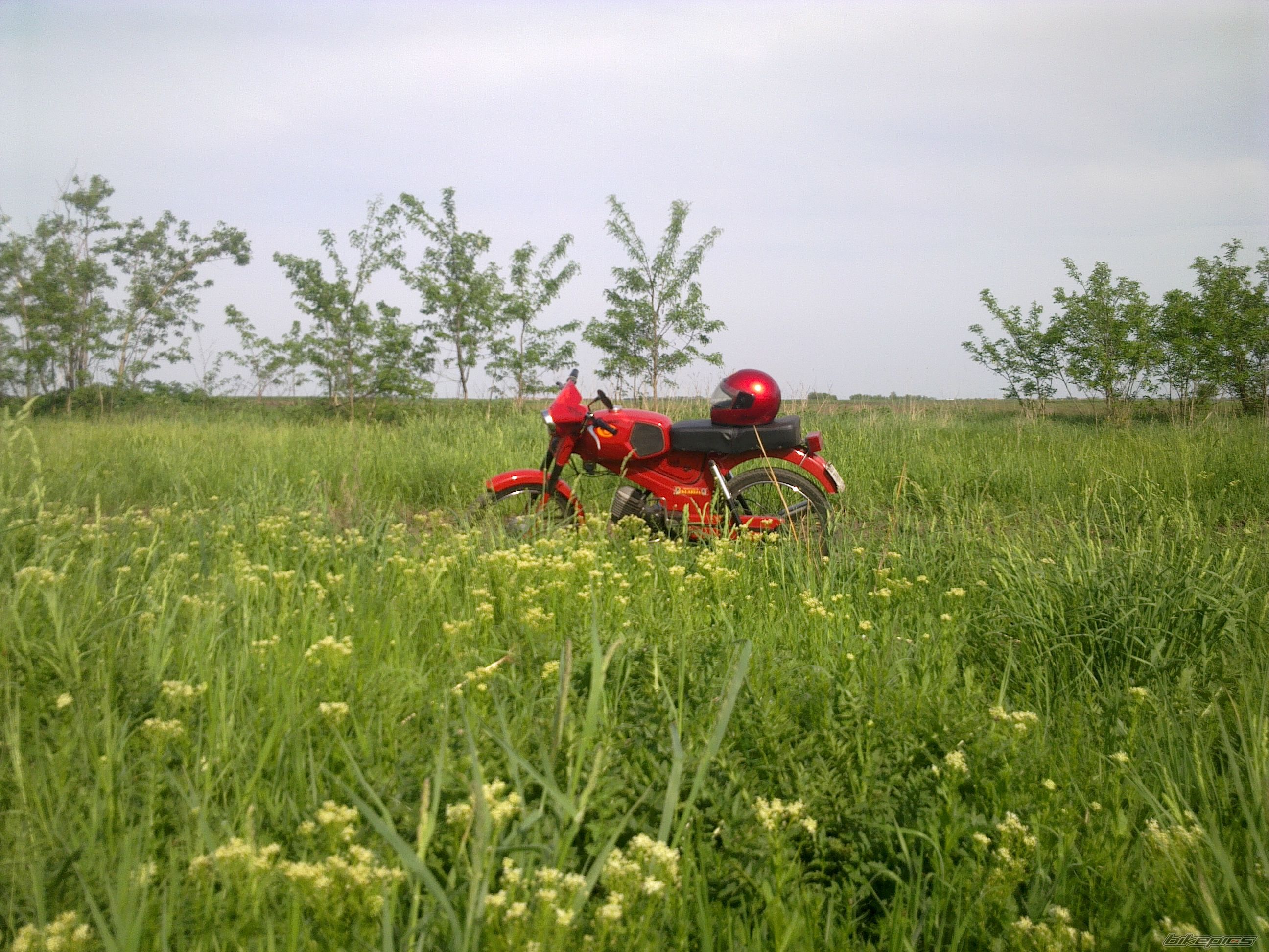 Photo 2747209
