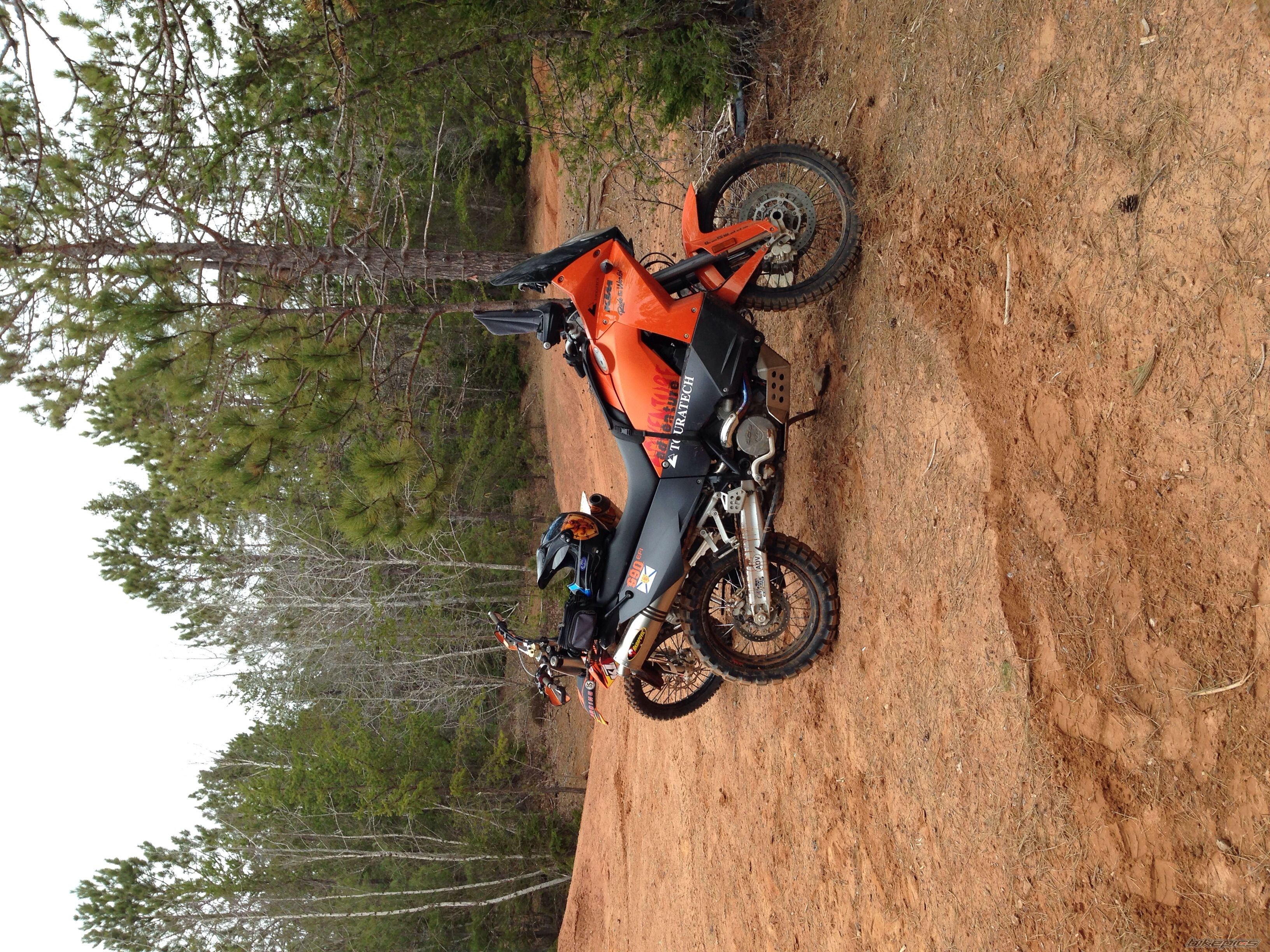 Photo 2747446