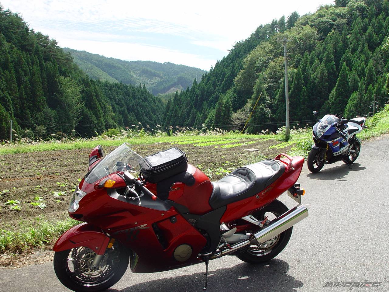 Photo 274755