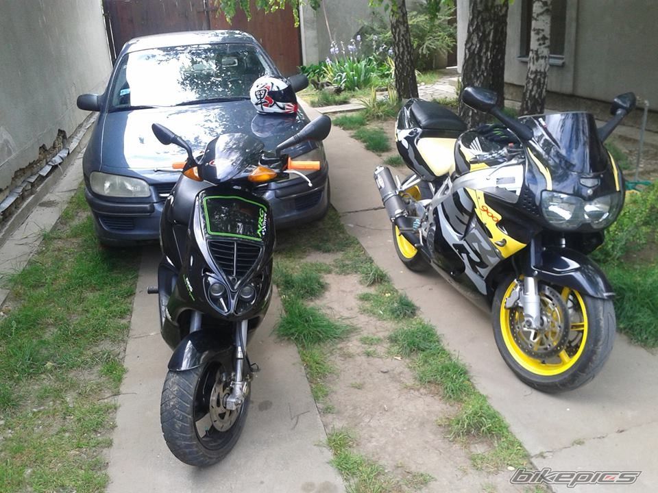 Photo 2747552