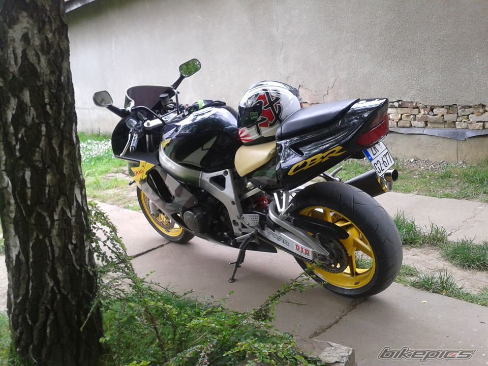 Photo 2747553