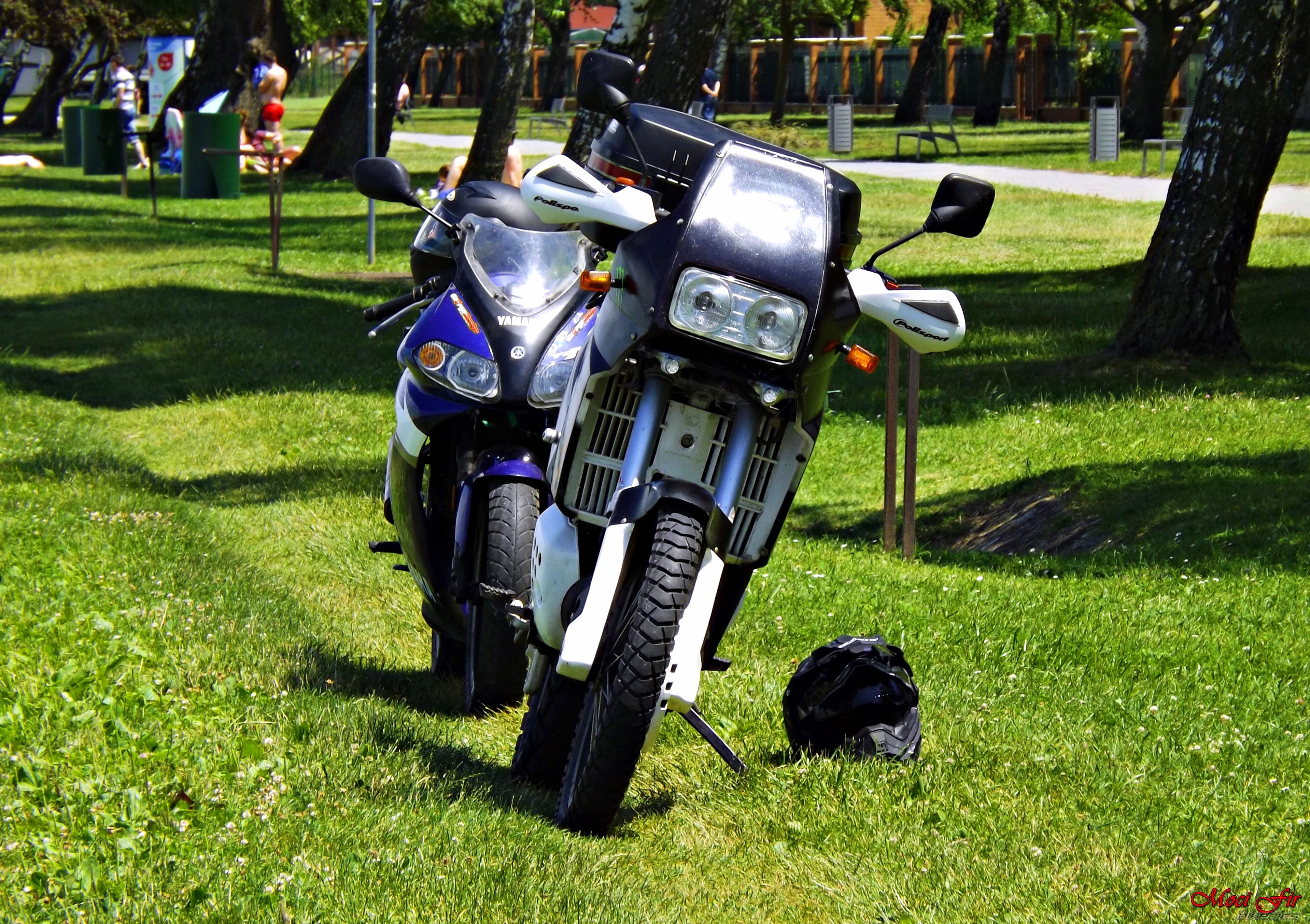 Photo 2747898