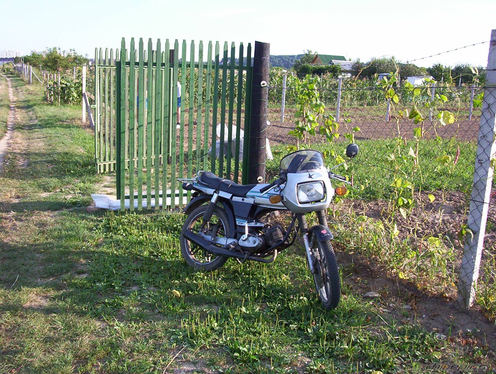 Photo 274795
