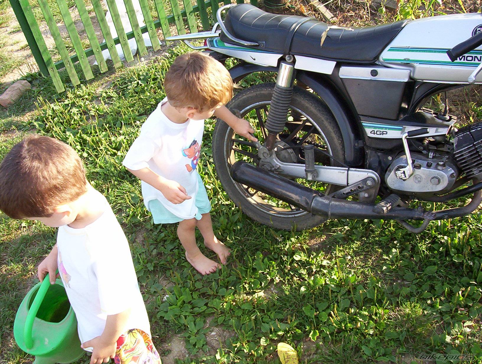 Photo 274796
