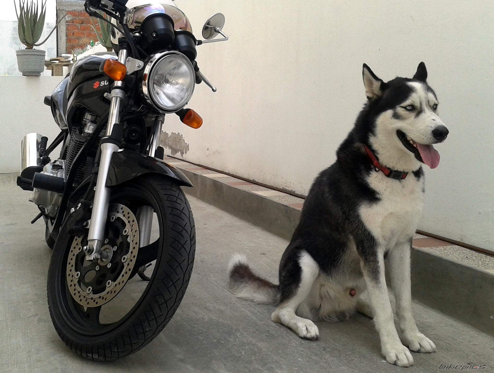 Photo 2747975