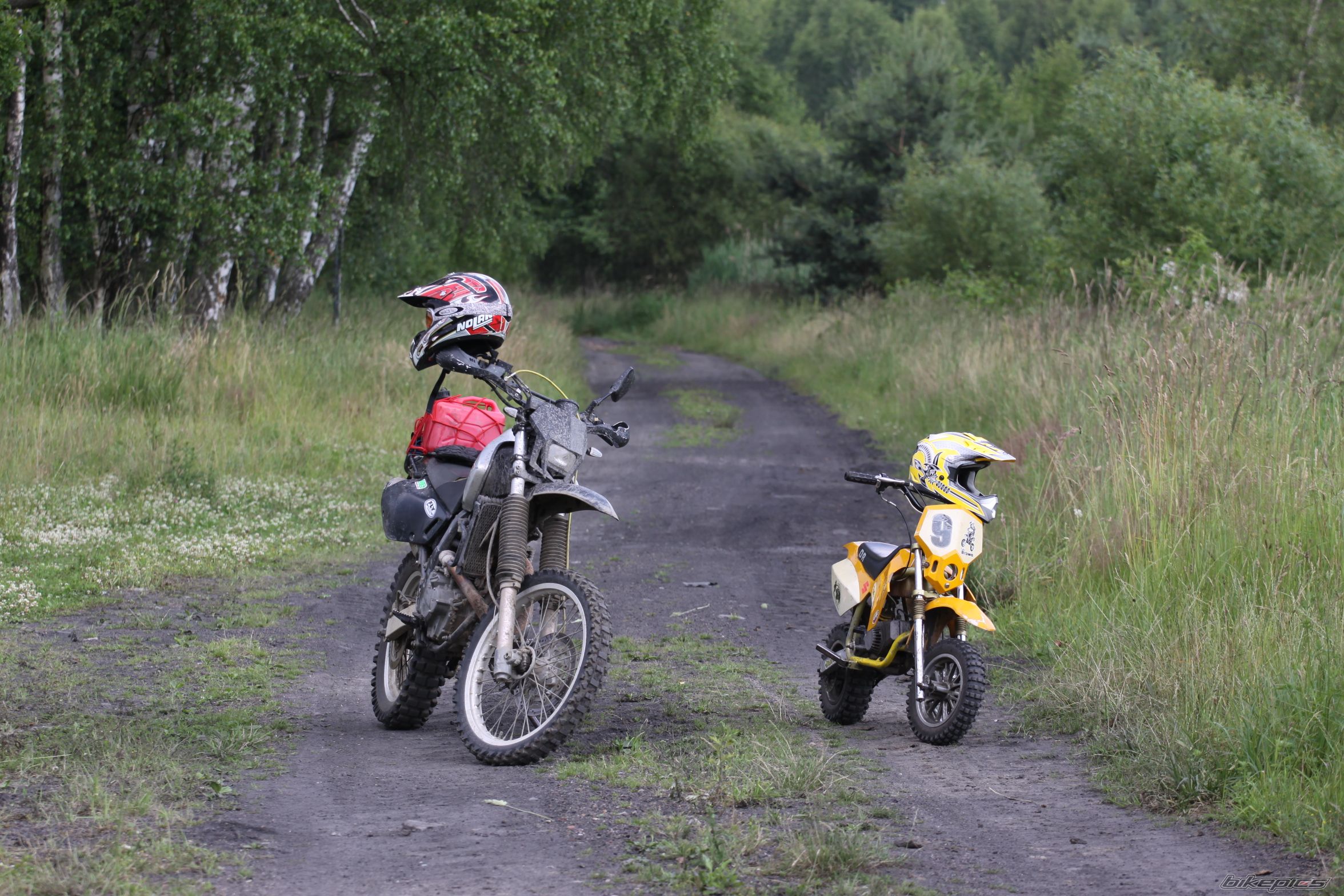 Photo 2748092