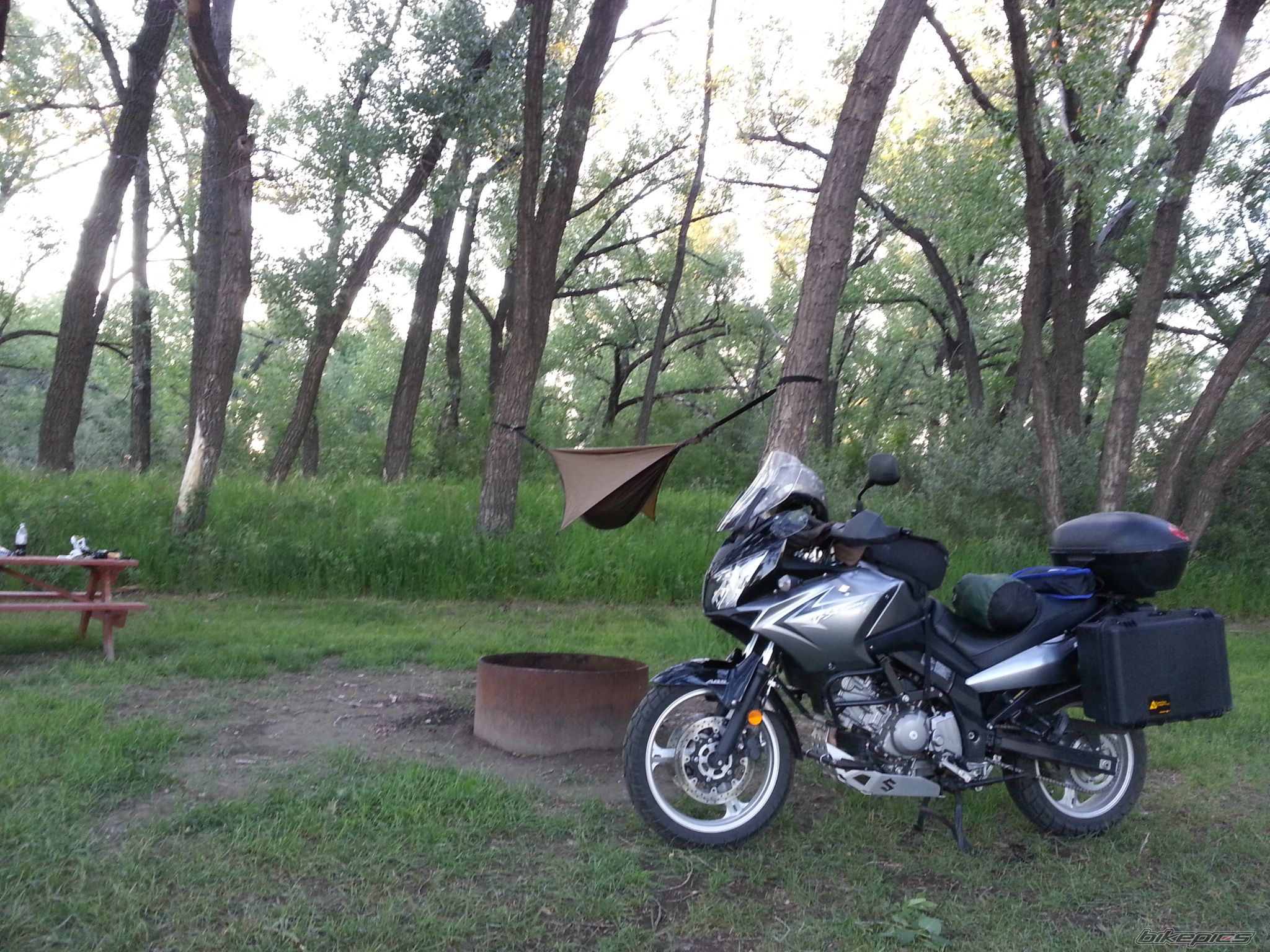 Photo 2748093