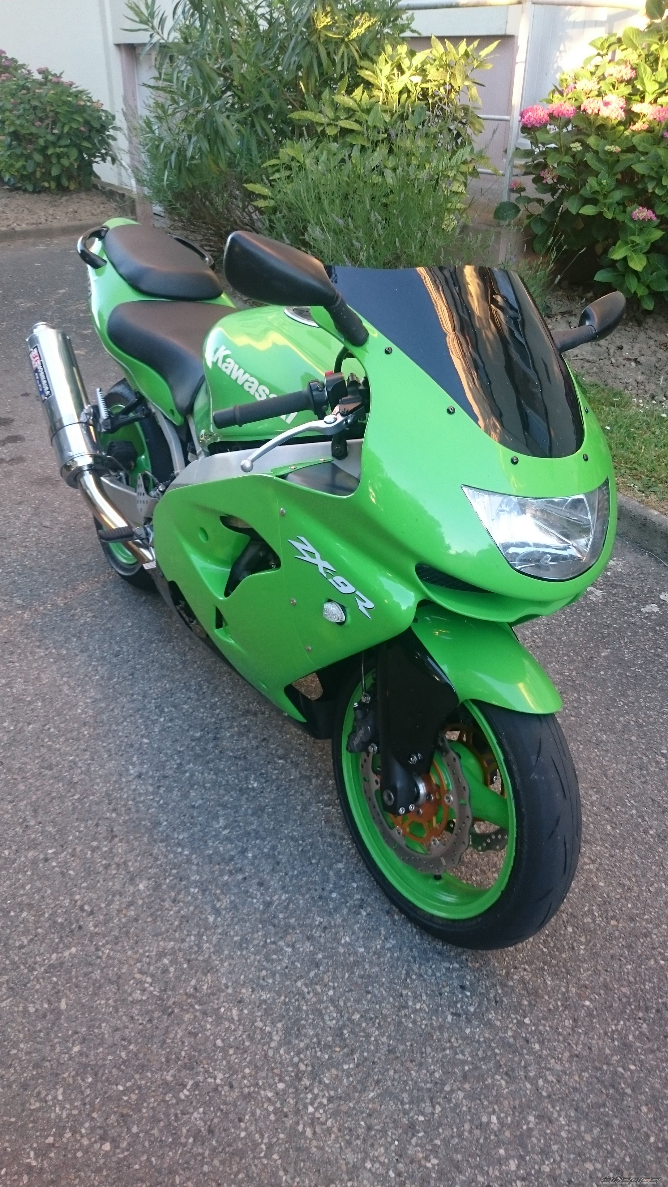 Photo 2748211