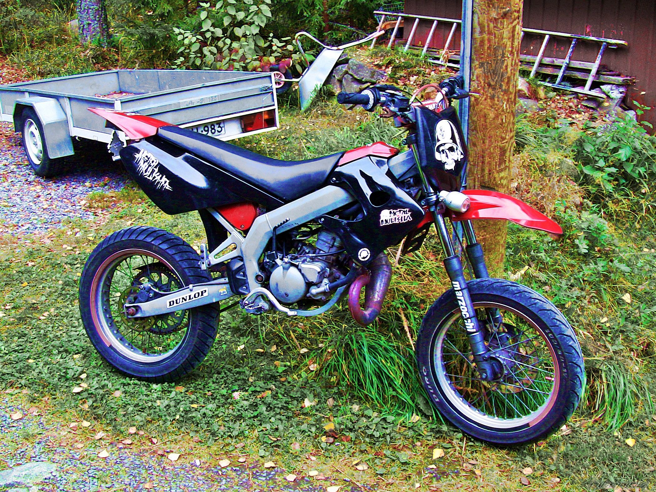 Photo 2748294