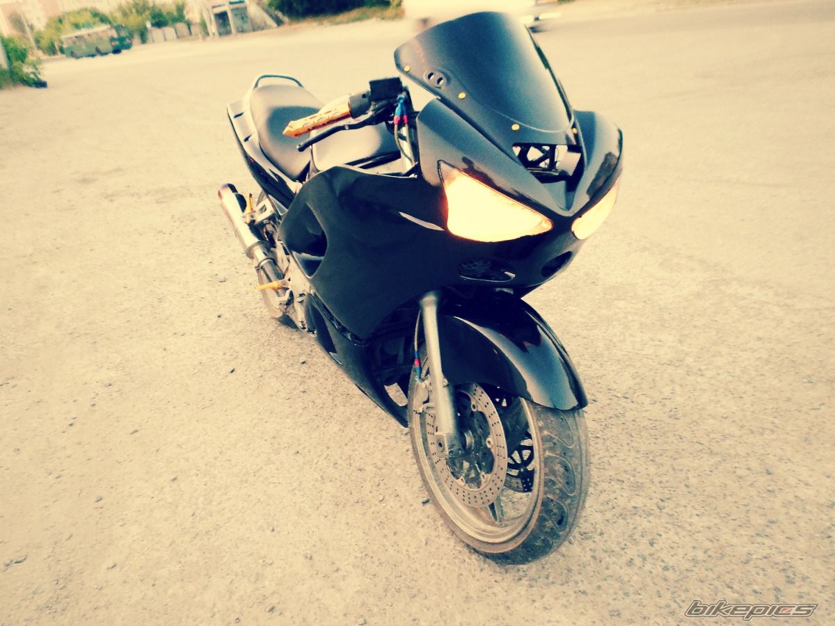 Photo 2748308