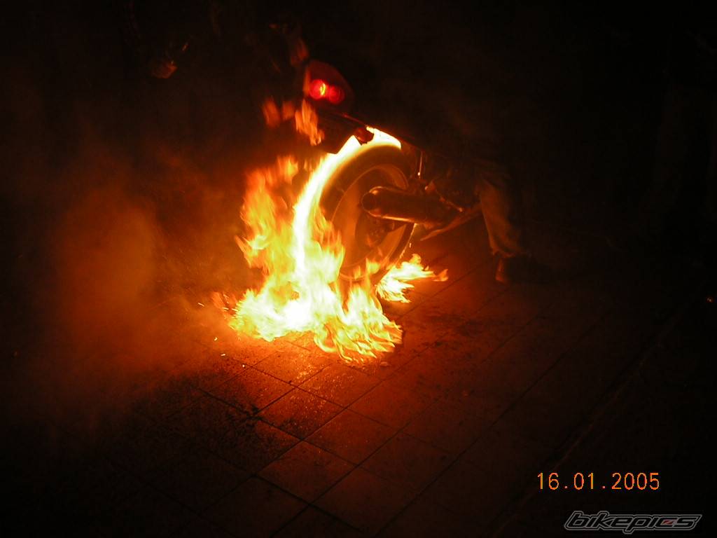 Photo 274834