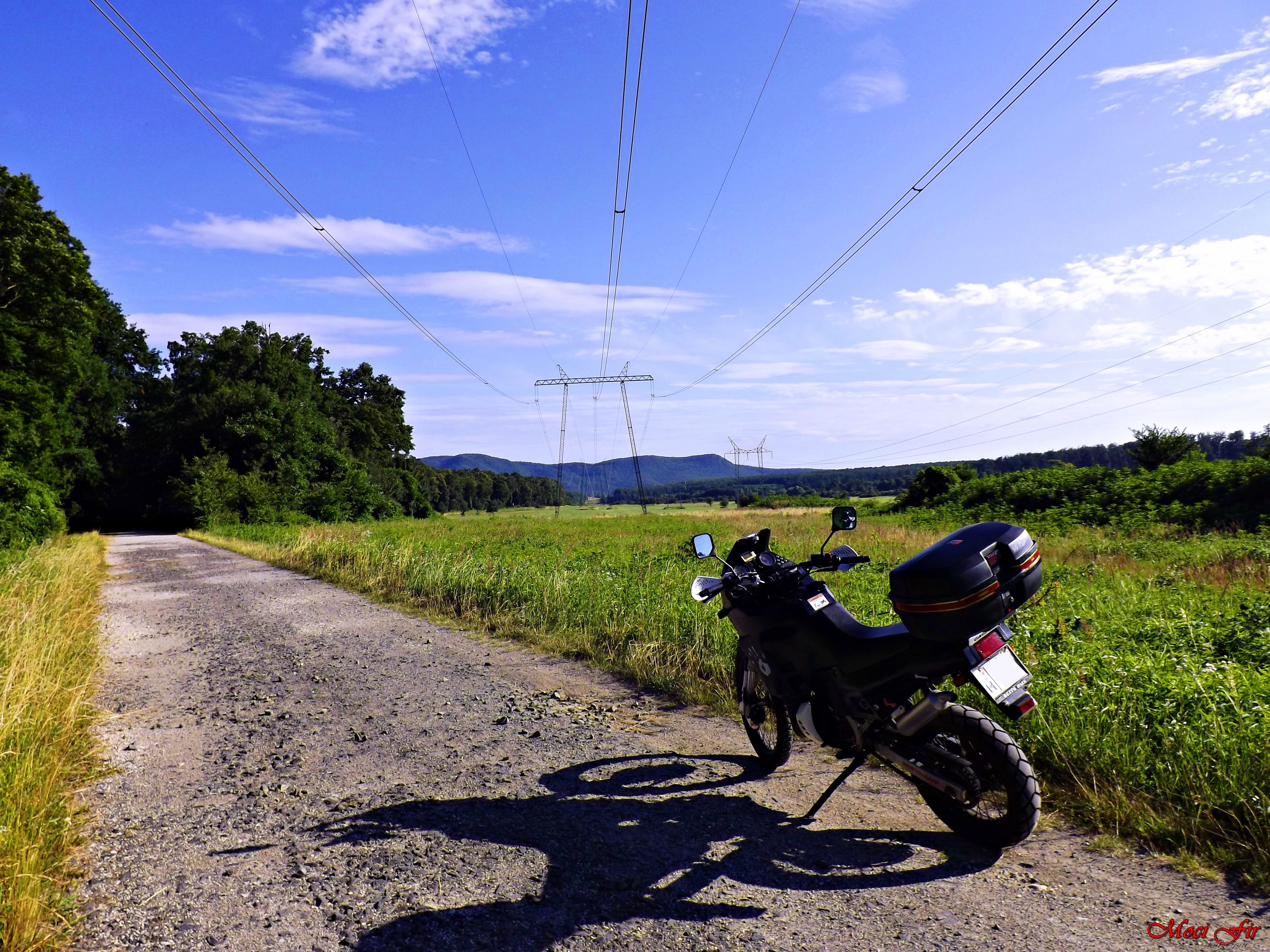 Photo 2748508