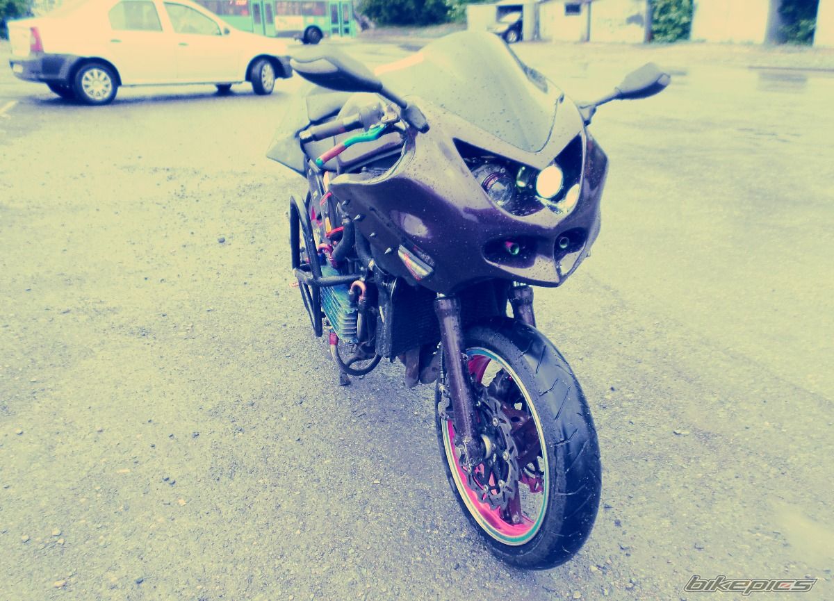 Photo 2748578