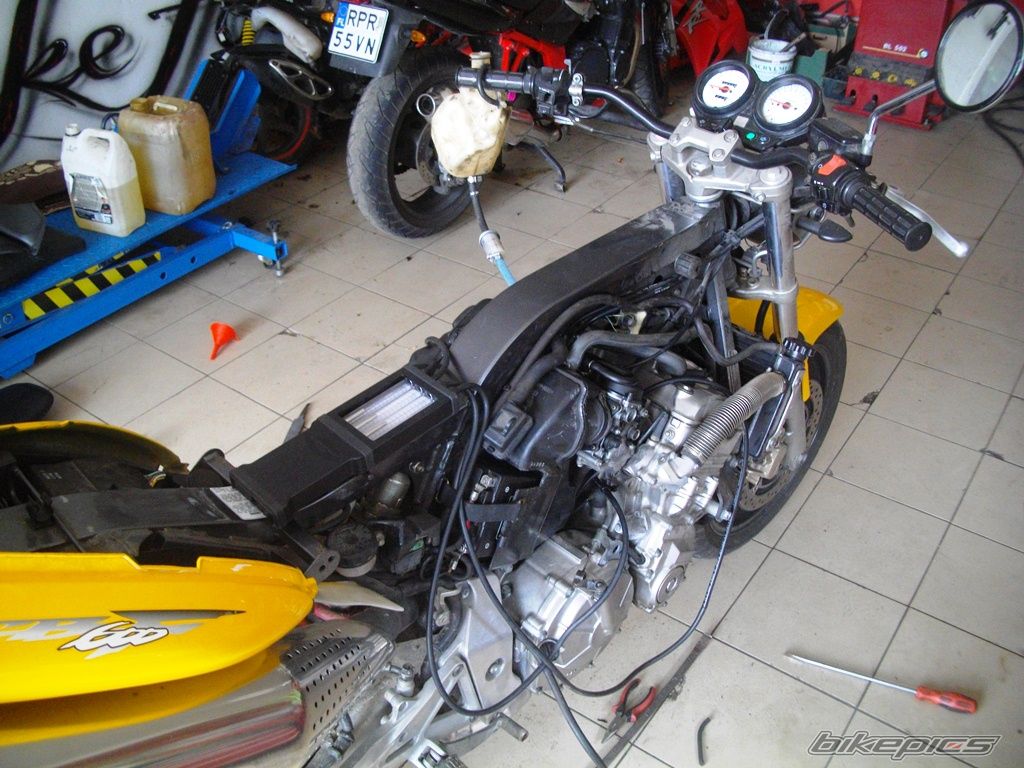 Photo 2748599