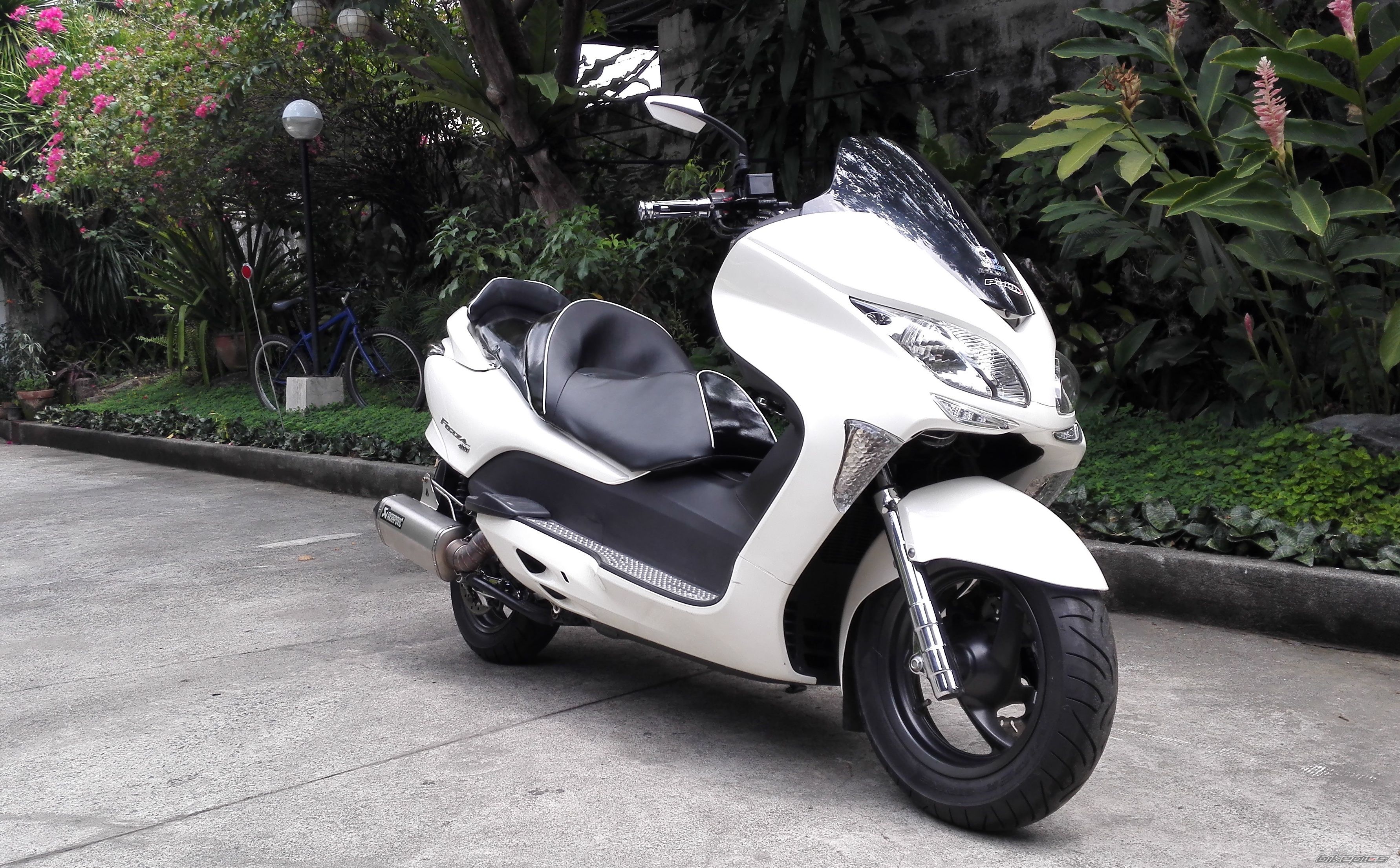 Photo 2748621