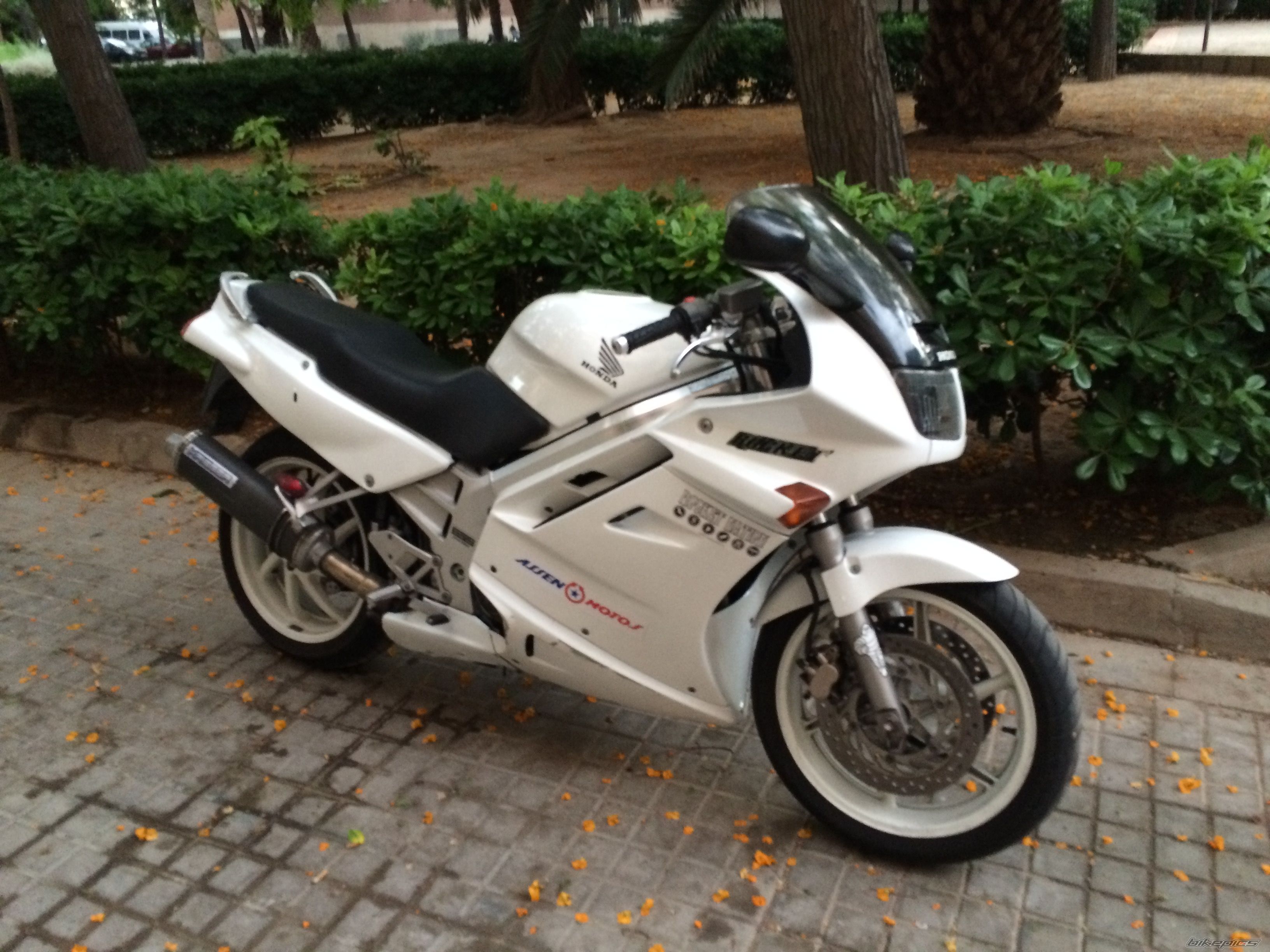 Photo 2748732