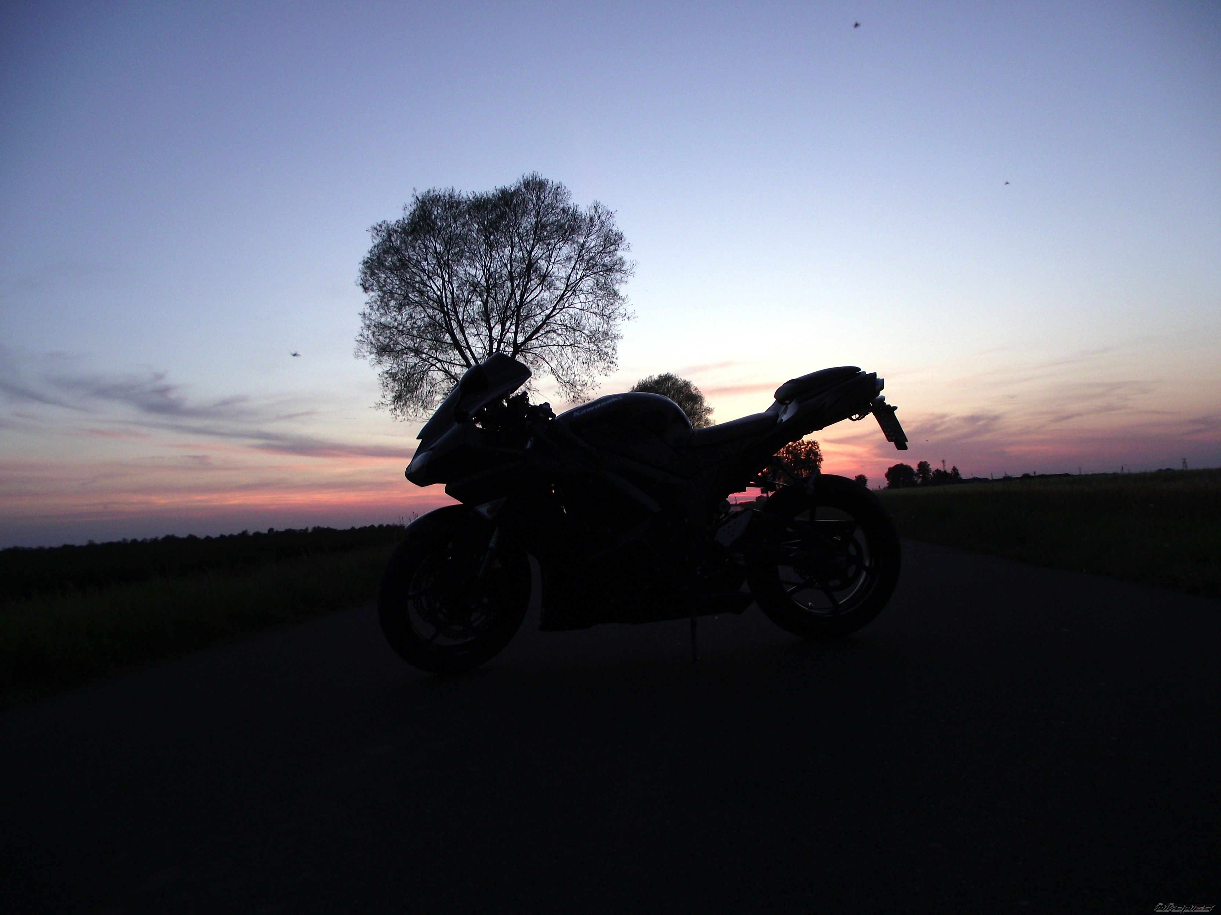 Photo 2749413