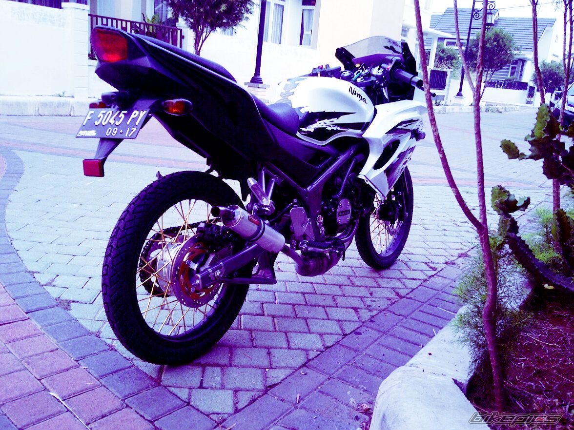 Photo 2749501