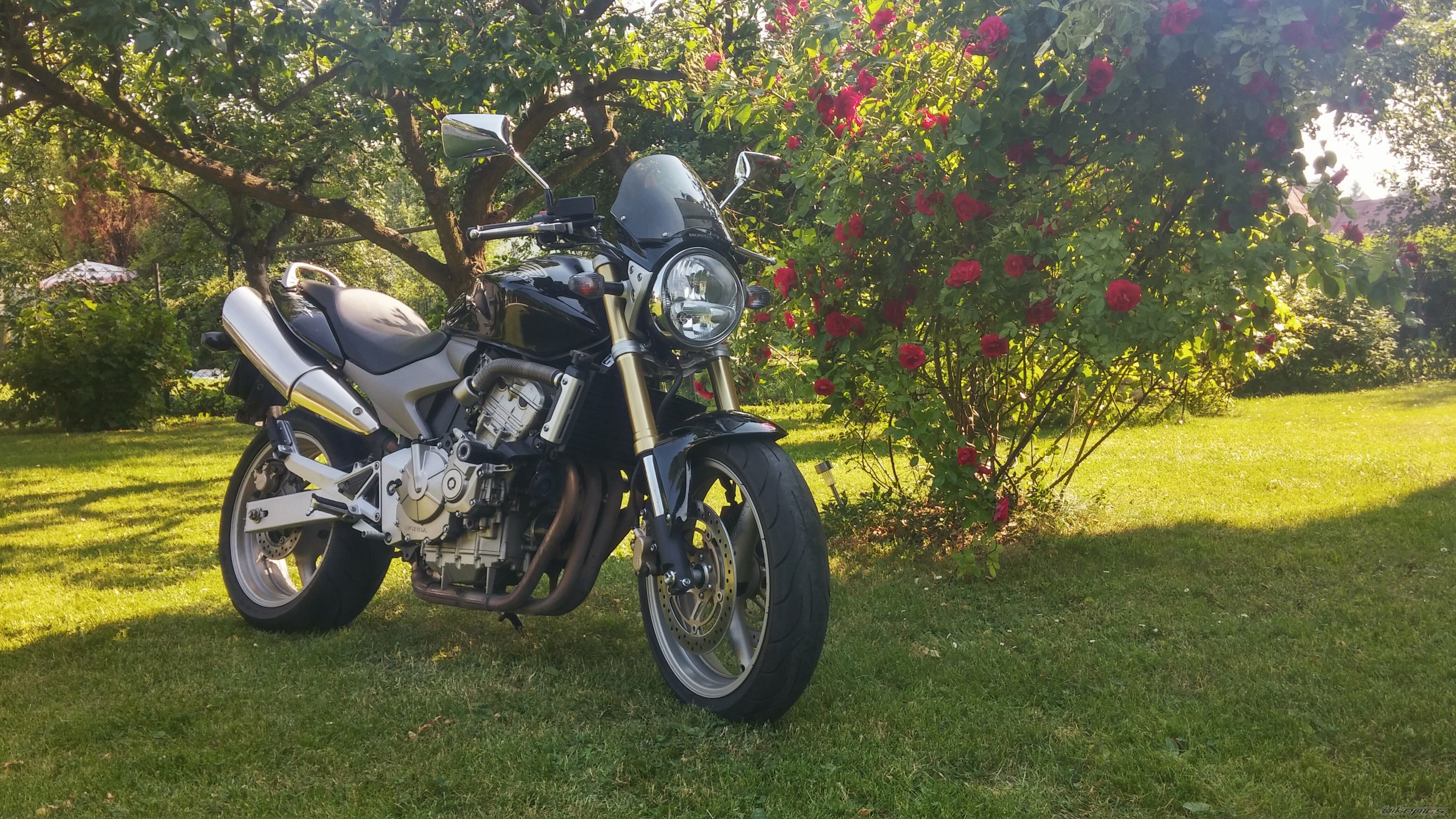 Photo 2749674