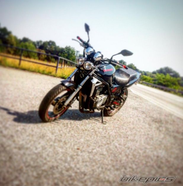 Photo 2749692