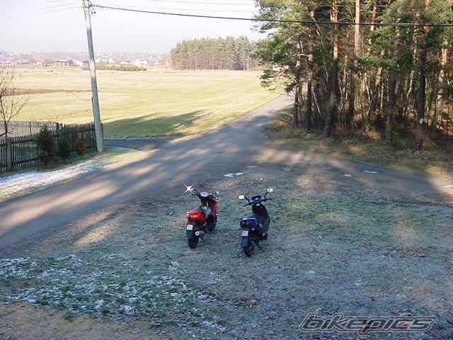 Photo 274979