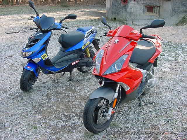 Photo 274981