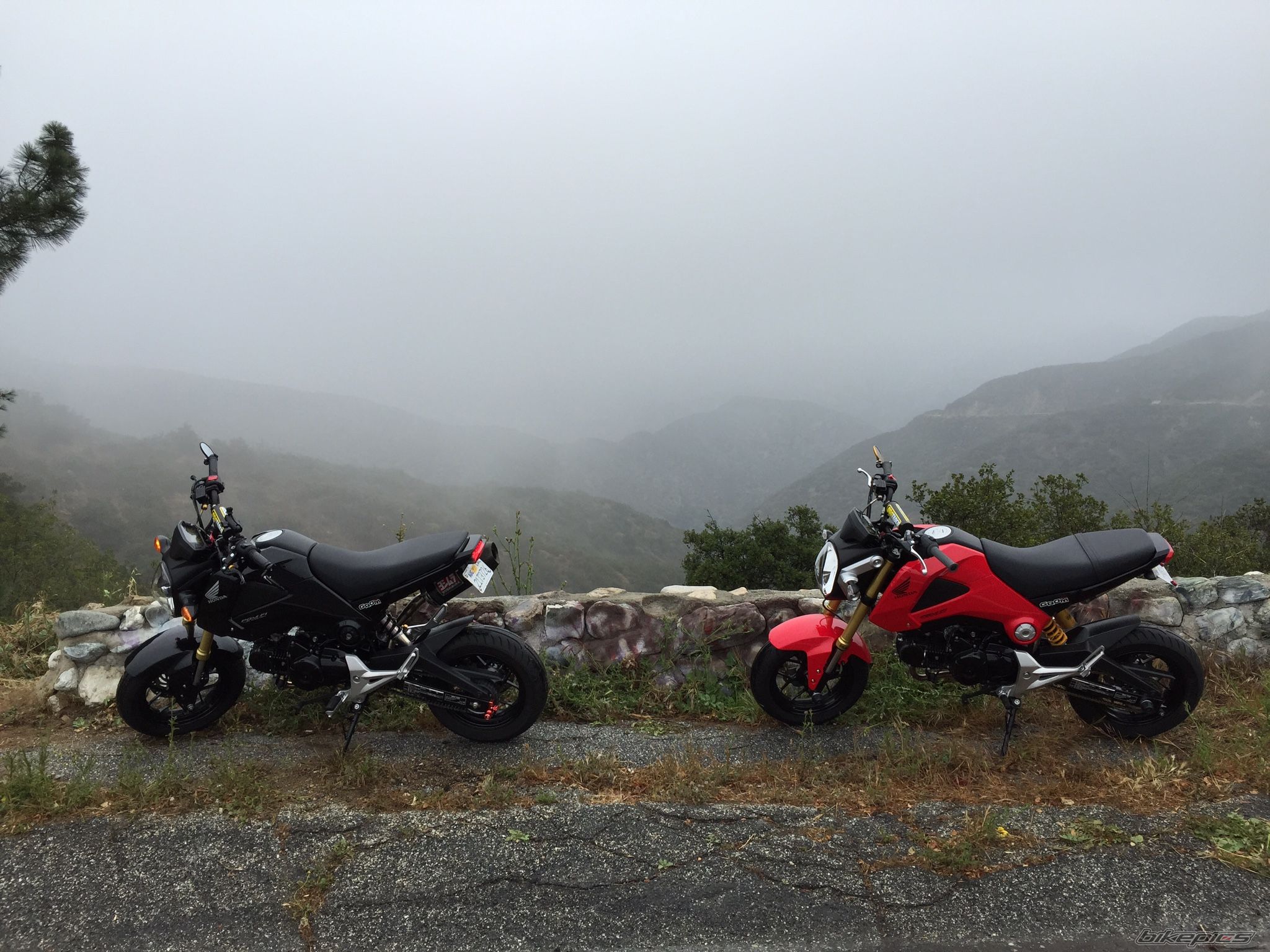 Photo 2749857