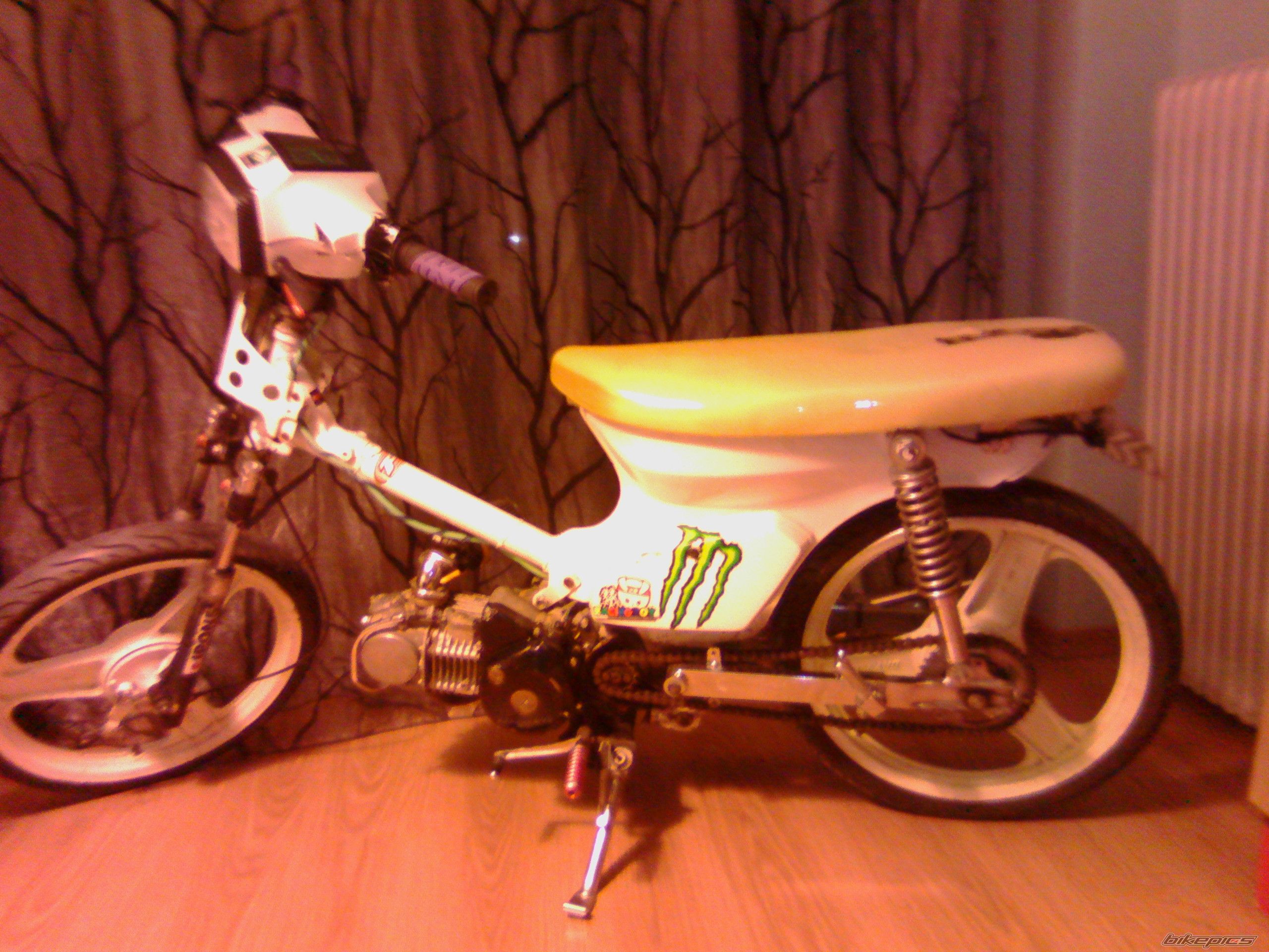 Photo 2749879